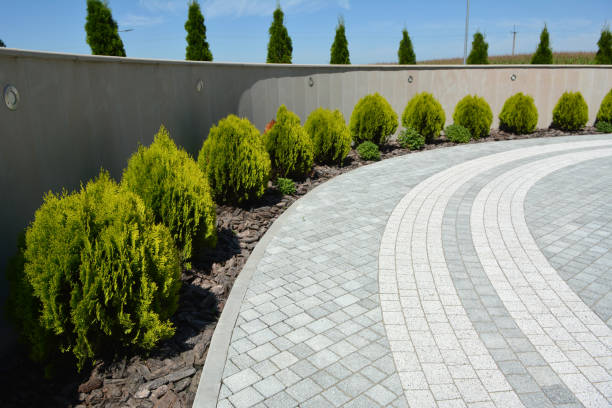 Best Best Driveway Pavers  in Warsaw, VA